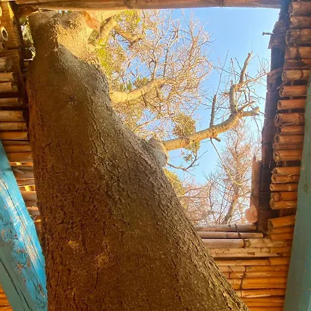 La Casa Del Leccio Дом отдыха *